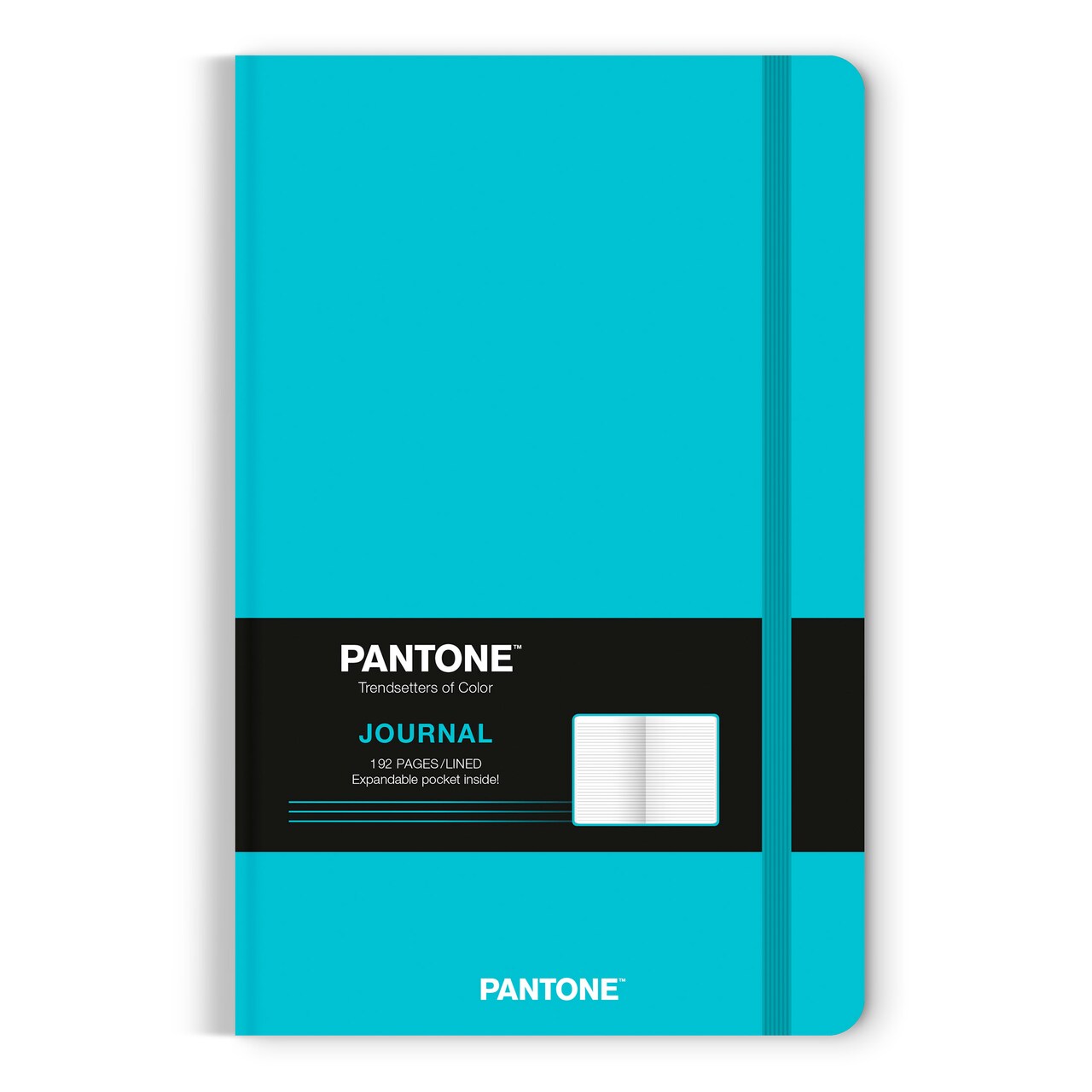Pantone OFFICIAL Blue | 5.25 x 8.25 Inch Lined Compact Journal | Non-Dated | BrownTrout | Planning Stationery Diary